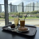 노부스테라 | [해운대 카페] 주차 가능한 해운대 카페, ‘노부스테라’ 방문 솔직 후기