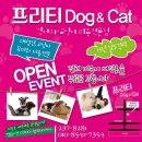 프리티 도그&캣 이미지