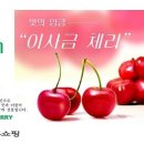 경주 체리 이미지