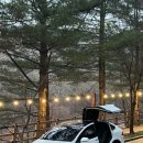 르노코리아자동차 서대전정비사업소(주) | 대전사고대차 세종사고대차 청주사고대차 교통사고 났을 때 당황하지 마세요 — 차량 사고 후 꼭 해야...