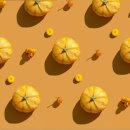 무부농장 이미지