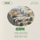섭장어 이미지