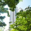 21세기공인중개사사무소 네이버블로그