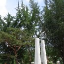 영평초등학교 이미지