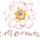 리아주네일 이미지