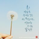 세상사는이야기 이미지