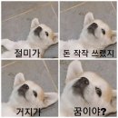 최군스시