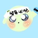 카페아페 | [김포 장기동 카페] 식물 가득 힐링 카페 아페시스 후기