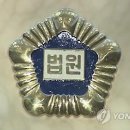 요리하는 남자 이미지