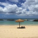 호코농장 이미지