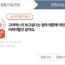 고아 며느리 보고 싶다는 엄마 때문에 여자친구하고 헤어져야 할 것 같아요 이미지