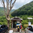 소백산 | 단양 소백산 등산 후기(feat. 부산 동래 알레버스 혼자)