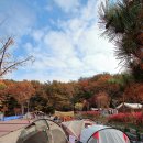 내장산국립공원화장실(야영장) 이미지