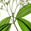 송파경희한의원 이미지