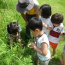 낙안민속자연휴양림 이미지