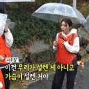 로즈트리 이미지