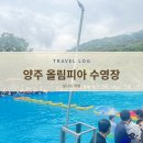 올림피아 | 양주 올림피아 수영장 후기｜아이랑 물놀이·평상·이용요금 총정리