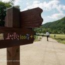 효석문학100리길 제1구간 이미지