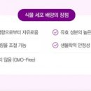 오케이케어