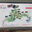 광치 자연휴양림 이미지