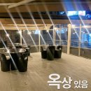 삼칠닭발