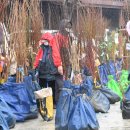 거창시장 이미지