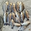 성호낚시터 이미지