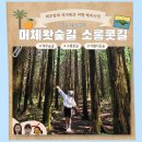 총림사아이숲유치원 | 제주 머체왓숲길 소롱콧길 걷기 좋은 숲길 코스 방문 후기