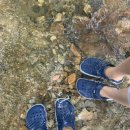 단지골 몽상가 이미지