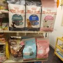 디어마이펫(DEARMYPET) 이미지