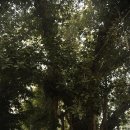 프라자호텔 이미지