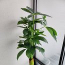 썬라이즈호텔 이미지