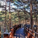 원산도공인중개사사무소 이미지