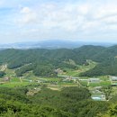 양성산 Daum카페