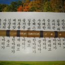 성훈악기 이미지