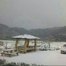 안동마애원두막펜션 이미지