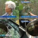 슈퍼베리 이미지