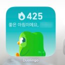 N반 영어회화 왕초보 | 영어 왕초보 육아맘 말해보카 1년째 공부 솔직후기 (+듀오링고비교)