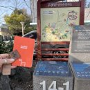 제주 올레길 14-1코스 | 제주올레길 14-1 완주 후기｜저지예술정보화마을부터오설록녹차밭(역방향), 소리소문책방·오설록까지