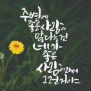 청성 Daum카페