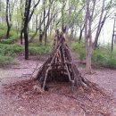 장다리로 이미지