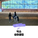 덕소 승마클럽 | 서울근교 승마장 남양주 덕소승마클럽 어린이 승마체험 7세 후기