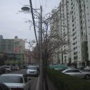 용산-395 이미지