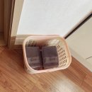 큰엉해올레펜션 | 제주도 서귀포 펜션 큰엉해올레 오션뷰 가성비 숙소추천 + 올레5코스 큰엉해안경승지