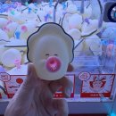 인형뽑기(무등시장점) | [내돈내산] 인천 부평구 부평역 인근 인형뽑기방/오락실 추천 - 짱오락실 부평로데오점 솔직 후기