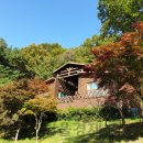 송정자연휴양림 이미지