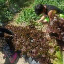 대산민박 이미지