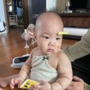 베베가든