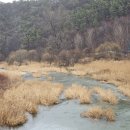 백운면사무소 이미지