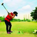 베스타 골프 이미지